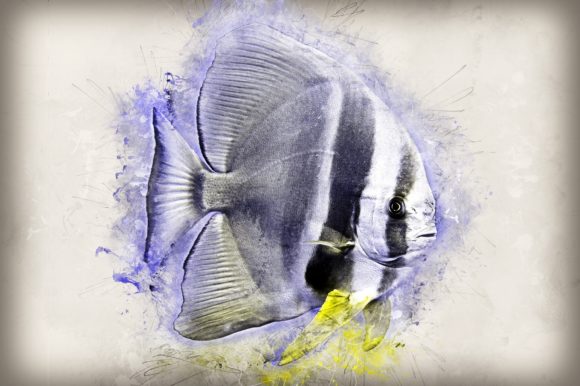 Download Fish Printables 7 Formats 300dpi Pack 03 - Premium Resources